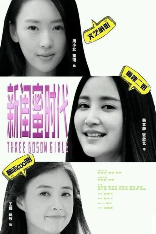 新闺蜜时代(2014)海报
