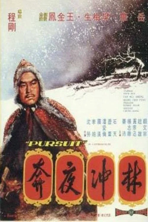 林冲夜奔(1972)海报