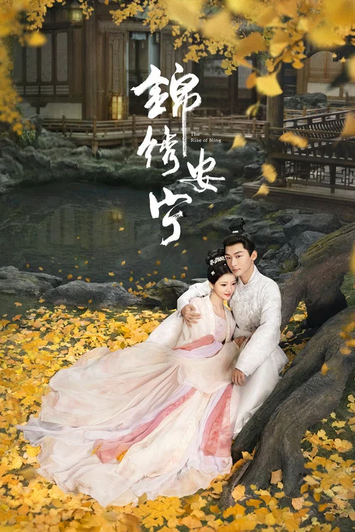 锦绣安宁剧照6