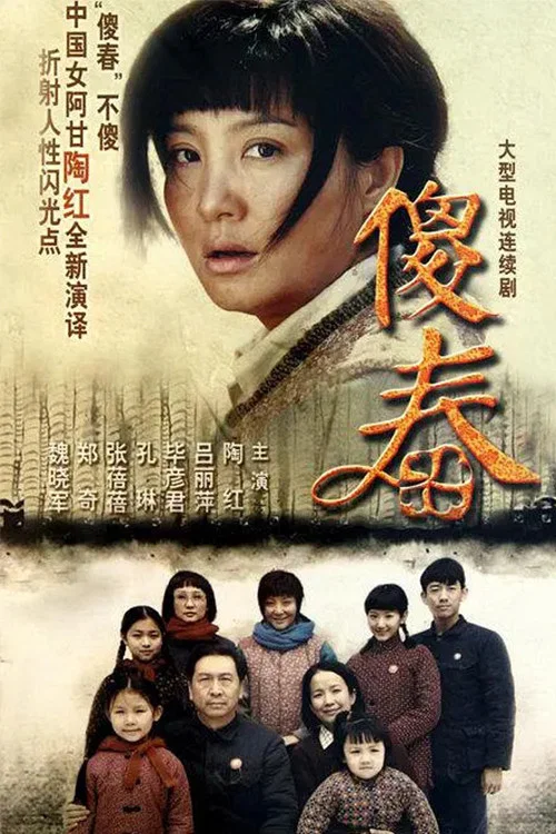 傻春(2011)海报
