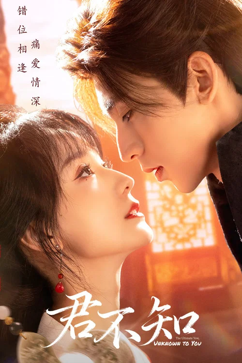 君不知(2025)海報