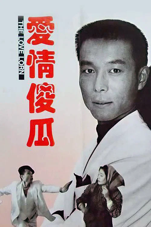 爱情傻瓜(1993)海报