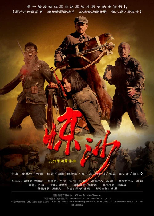 惊沙(2011)海报