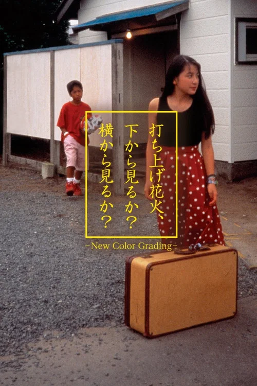 煙花1995(1993)海報