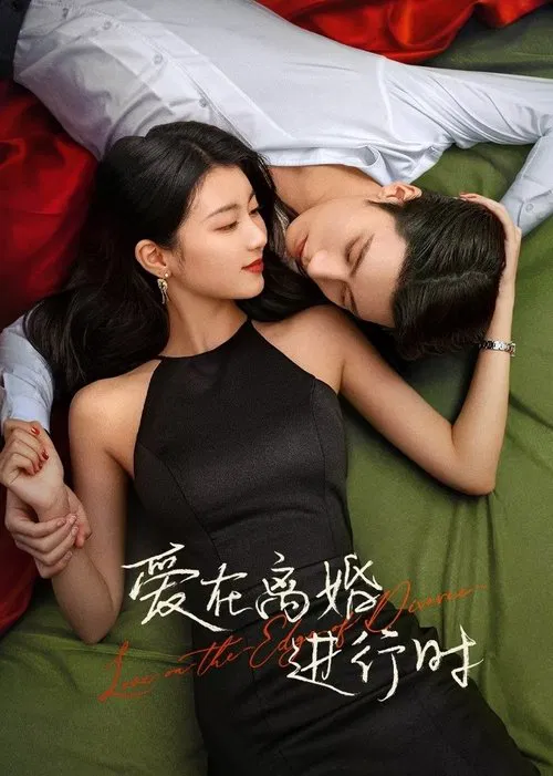 离婚进行时(2025)海报