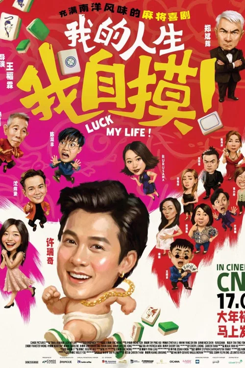 我的人生我自摸(2026)海报