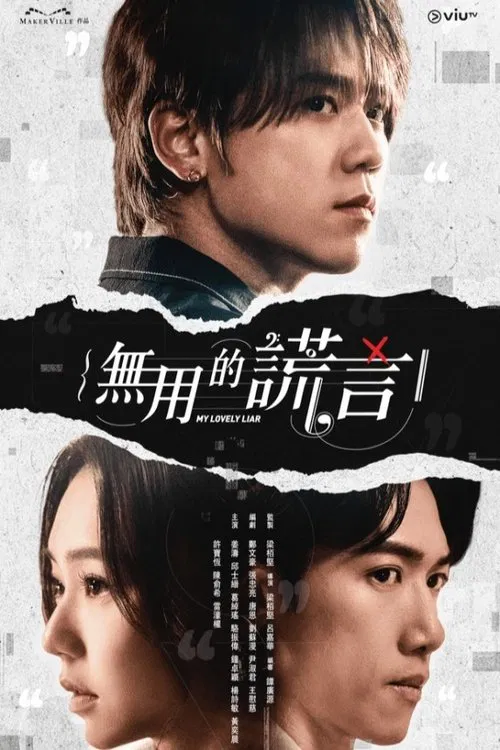 无用的谎言(2024)海报