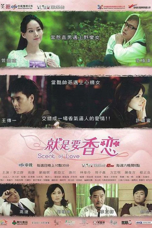 恋香国语(2010)海报