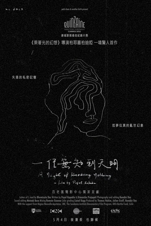 无知之夜(2022)海报