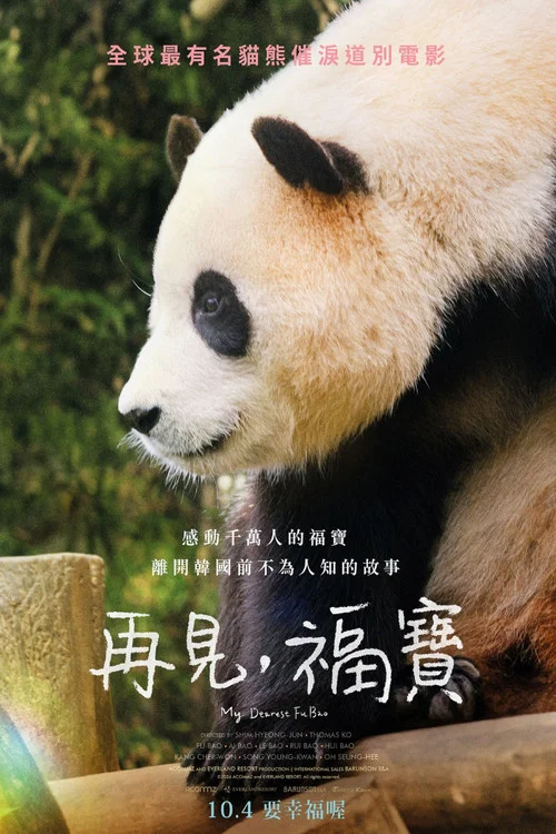 再見,福寶(2024)海報