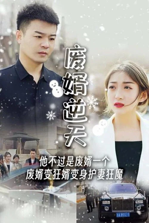 廢婿逆天(2023)海報