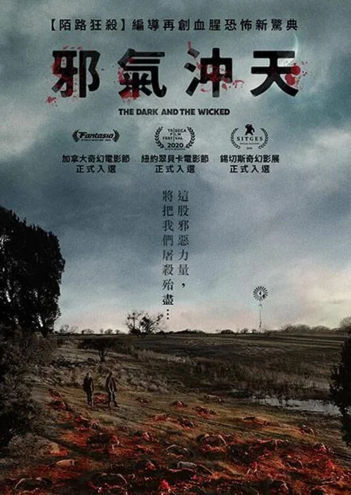黑暗与邪恶(2020)海报