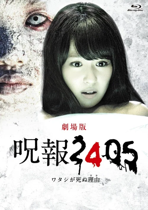 暗夜心慌慌(2012)海报