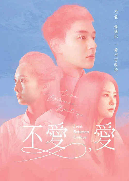 不愛,愛(2024)海報