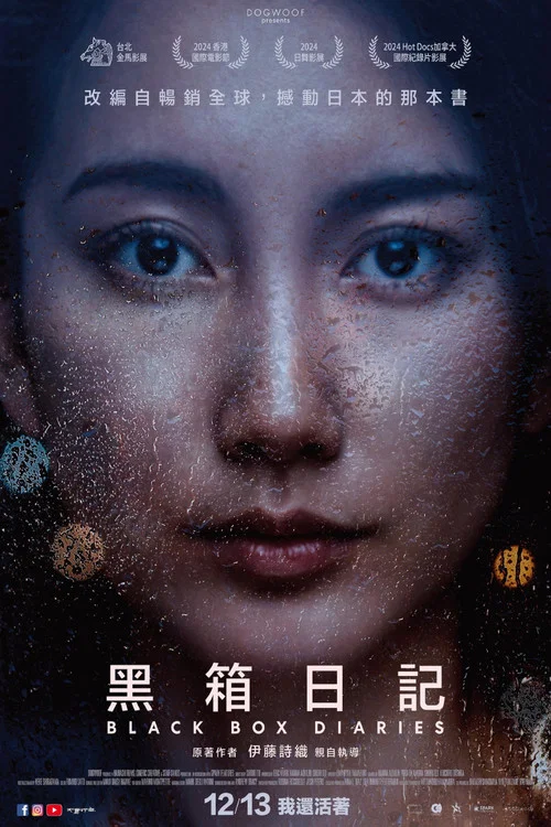 黑箱日記(2024)海報
