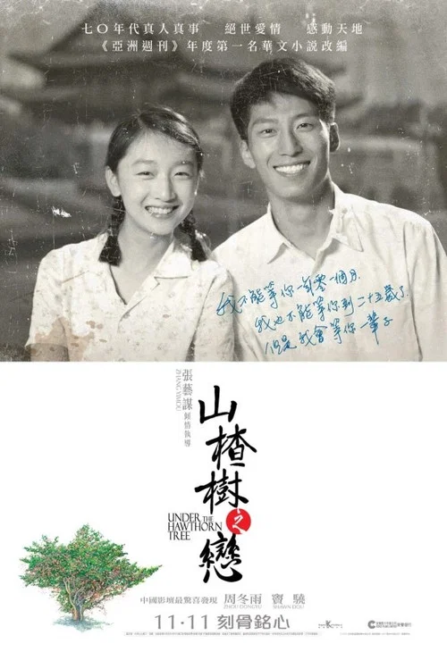 山楂树之恋剧照4
