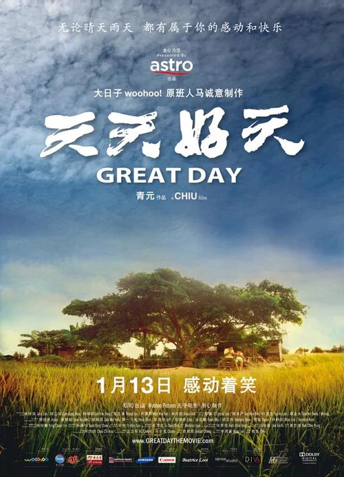 天天好天(2011)海报