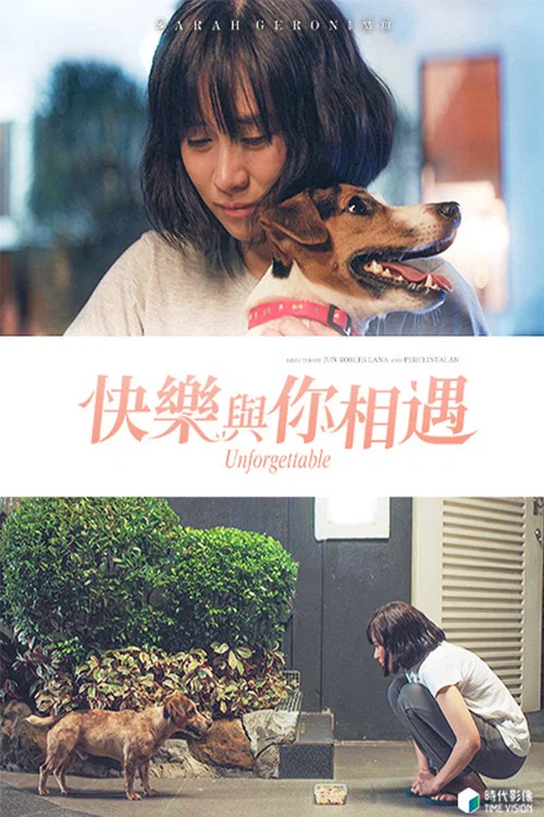 快乐与你相遇(2019)海报