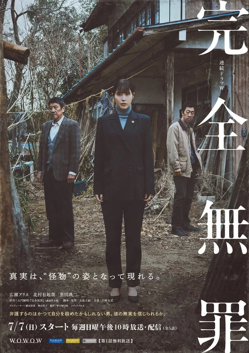 完全无罪(2024)海报