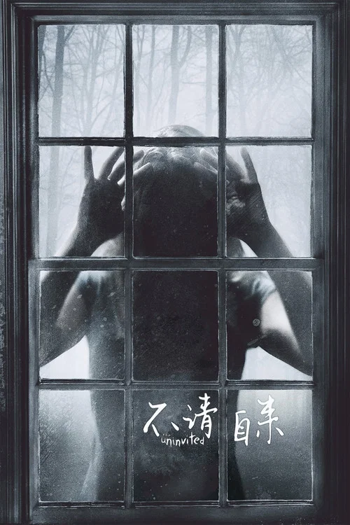不请自来(2009)海报