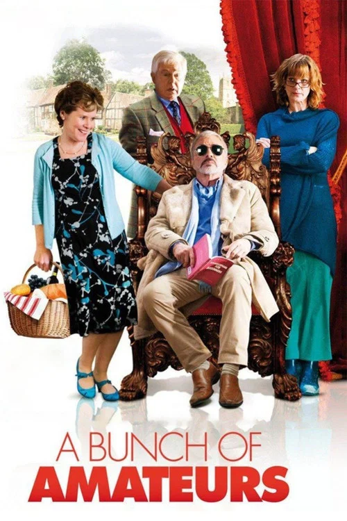 一幫外行(2008)海報