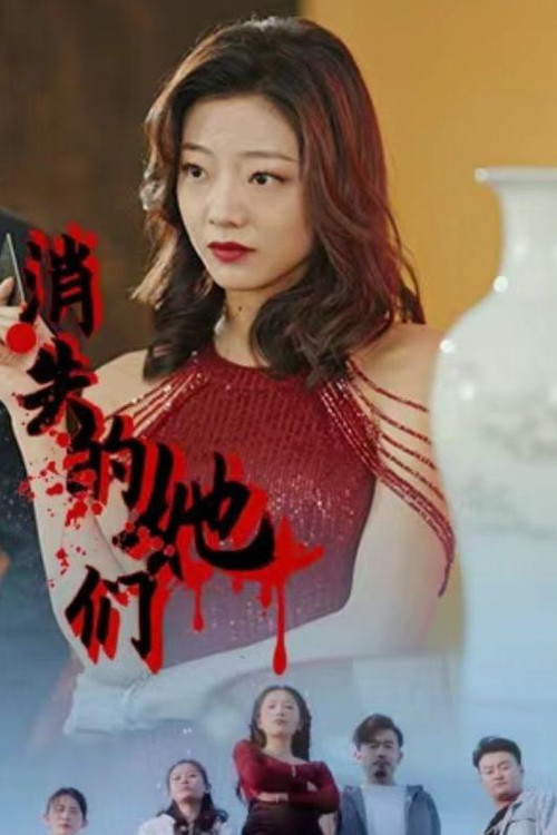 消失的她们(2024)海报
