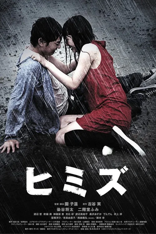 庸才(2012)海報