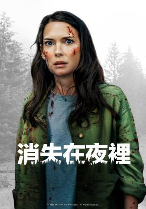 夜幕降臨(2022)海報