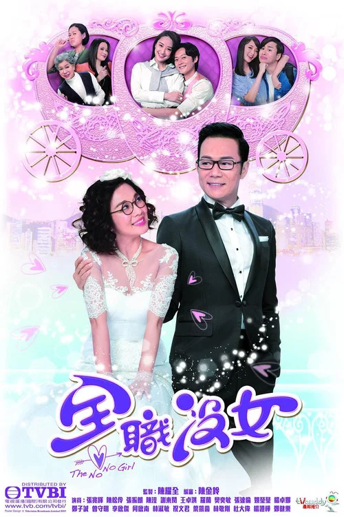 全職沒女(2017)海報