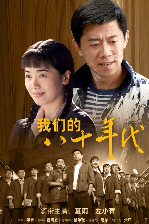 我们的八十年代(2009)海报