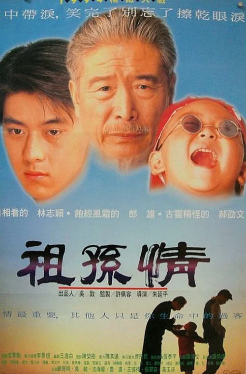 祖孙情(1995)海报