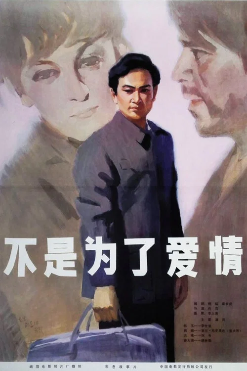 不是為了愛情(1980)海報