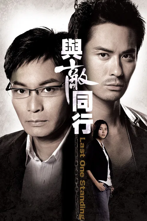 与敌同行(2008)海报