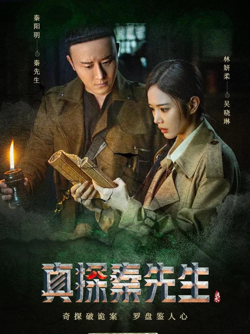 真探秦先生剧照2