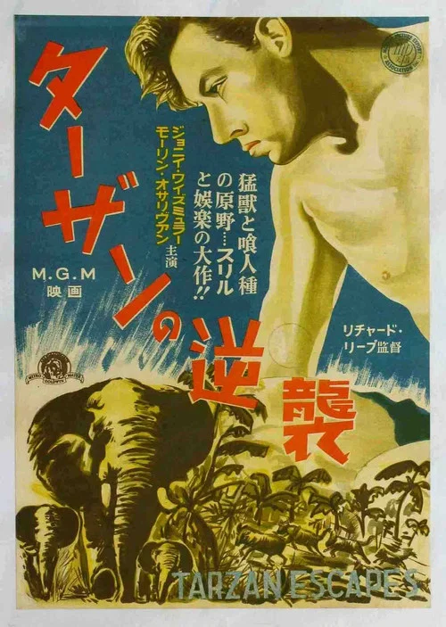 泰山逃亡(1936)海報