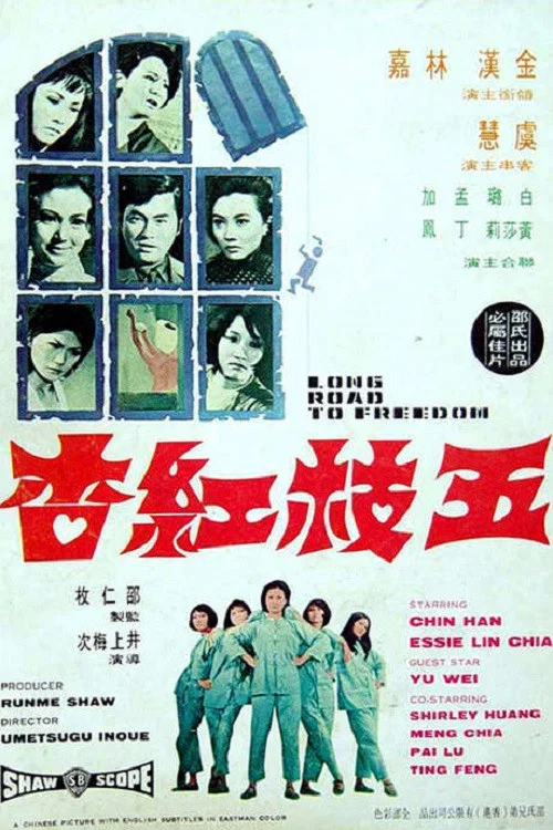 五枝紅杏(1971)海報
