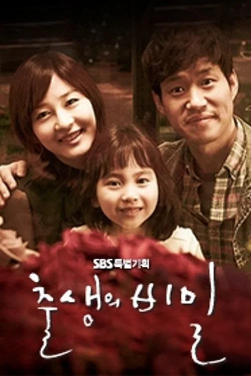 出生的秘密(2013)海報