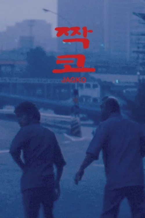 歪鼻子海报