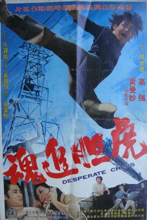 虎追魂(1974)海報