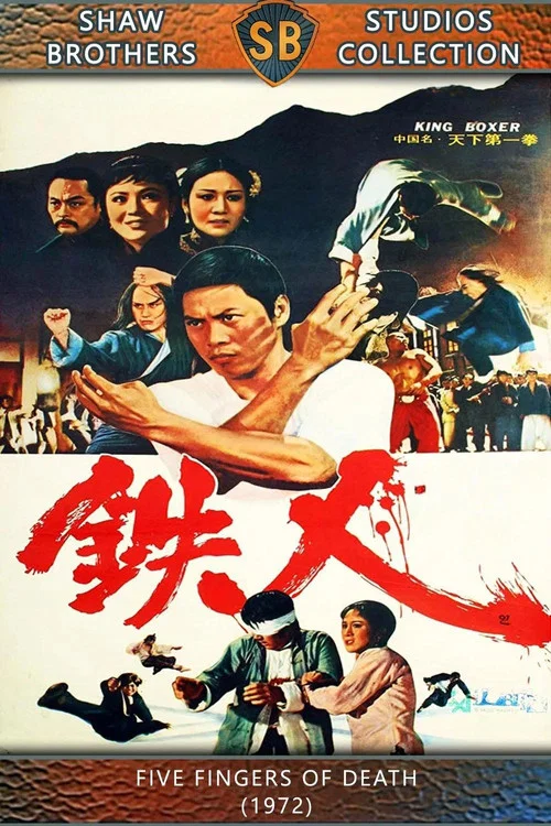 天下第一拳(1972)海报