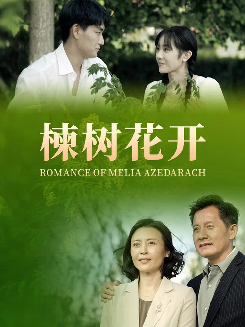 楝樹花開(2025)海報