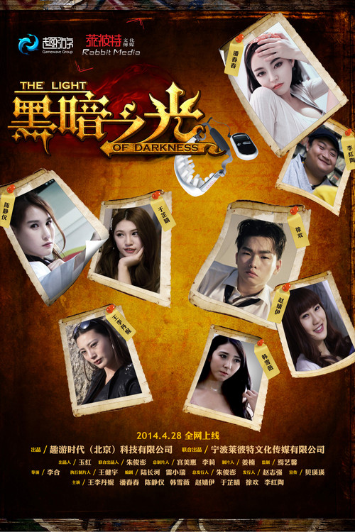 黑暗之光 2014(2014)海報