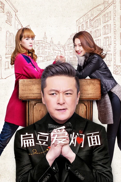 复婚前规则(2017)海报