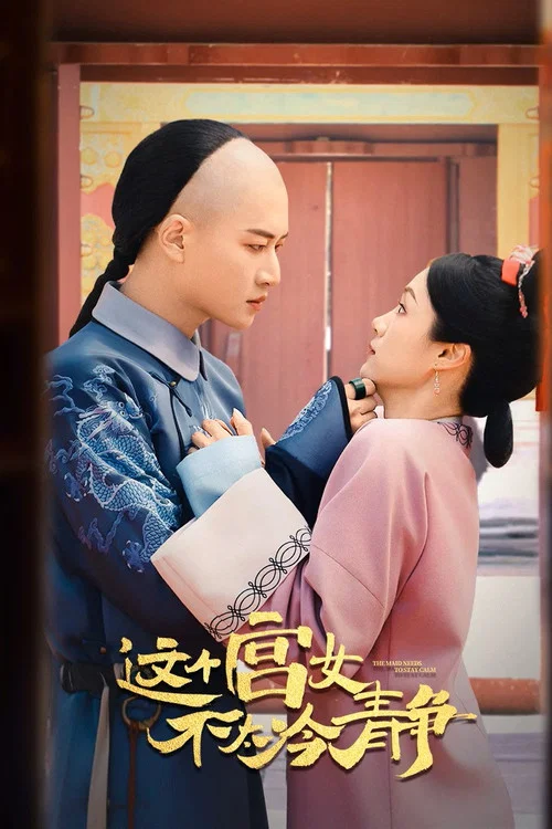 這個宮女不太冷靜(2026)海報
