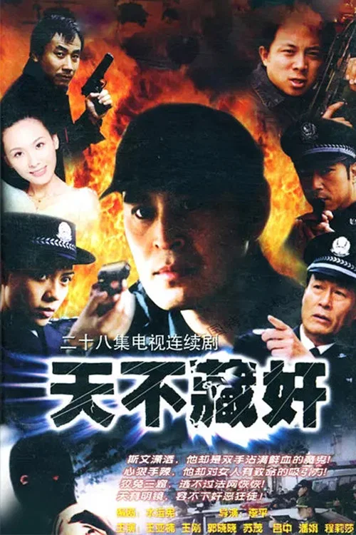 天不藏奸(2004)海报