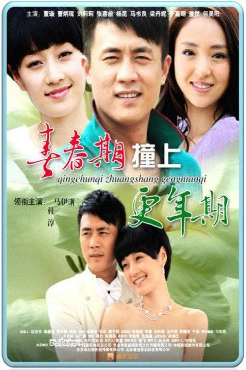 青春期撞上更年期2(2013)海報