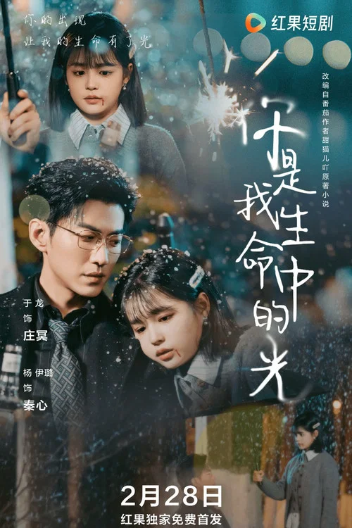 你是我生命中的光(2025)海报