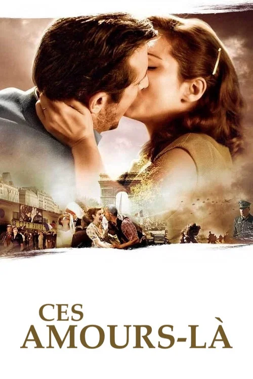 这样的爱(2010)海报