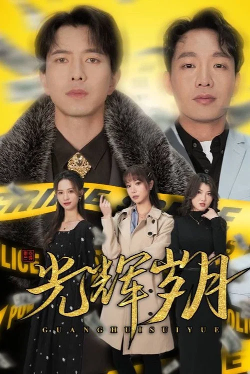 光辉岁月(2024)海报