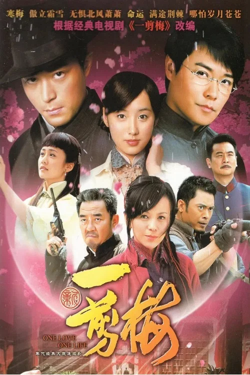 新一剪梅(2010)海報